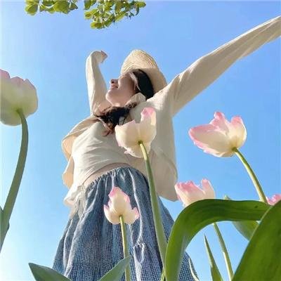 新蝶恋花